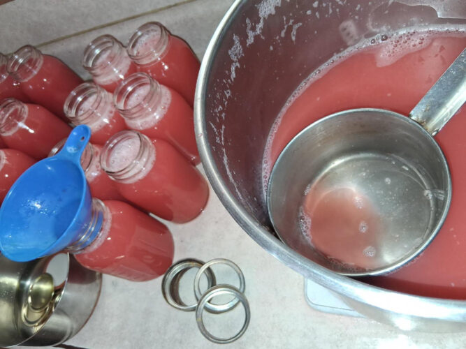 A birthday, an auction and rhubarb season